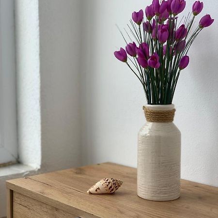 Apartman Dma Tivat Eksteriør billede